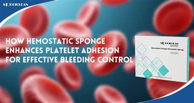 Wie ein hämostatischer Schwamm die Thrombozytenadhäsion für eine wirksame Blu...
