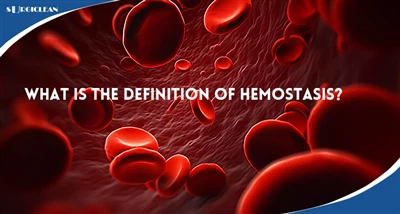 Was ist die Definition von Hämostase?